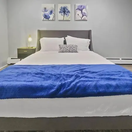 Renovated, Cozy Apt Near Stamford Hospital